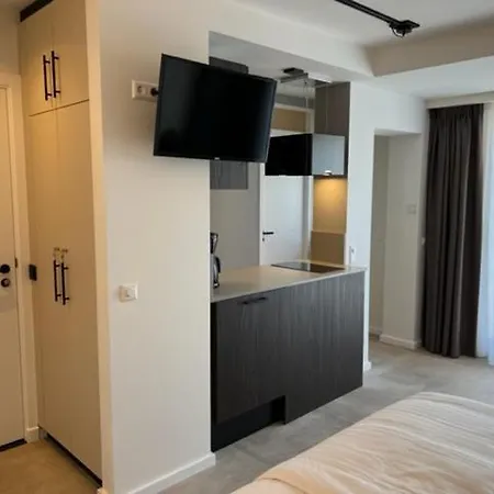 Aparthotel Casa Del Cisne 3