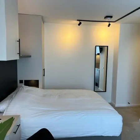 Aparthotel Casa Del Cisne 3 4*