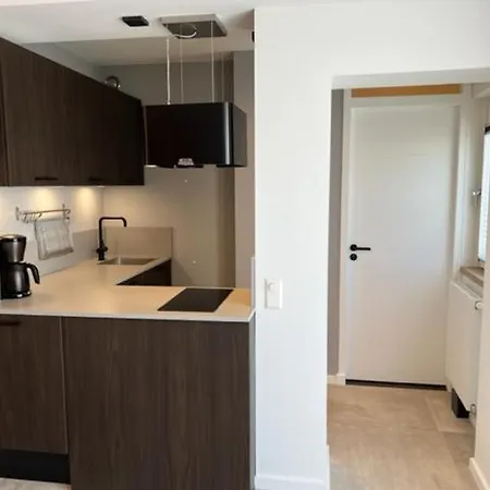 Aparthotel Casa Del Cisne 3 *