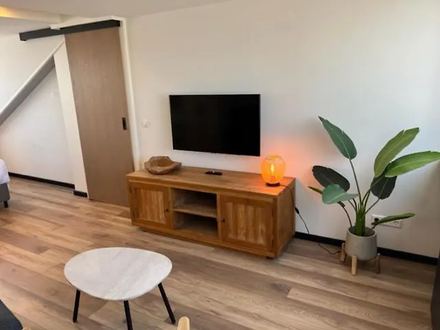 Casa Del Cisne 3 Zandvoort