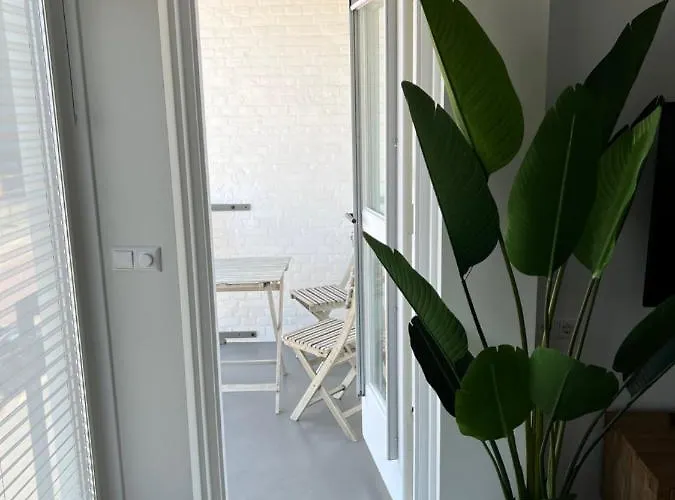 Apartmanhotel Casa Del Cisne 3 Zandvoort